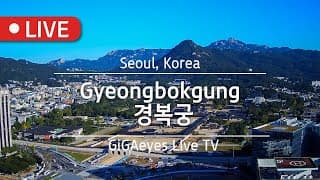 Live webcam: Blue House Civic Plaza