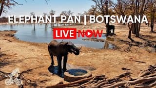 Live webcam: Elephant Pan Waterhole
