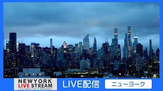 Live webcam: Midtown Manhattan Skyline