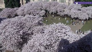 Live webcam: Miller Hall Quad